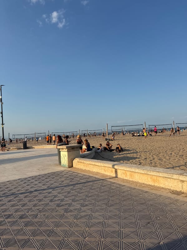 Sunny afternoon on Valencia's palm-lined beach promenade