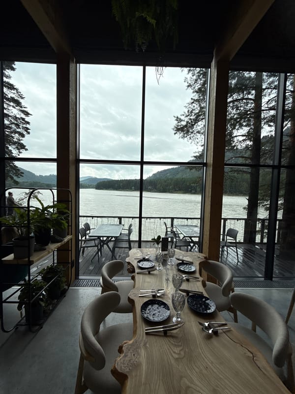 Riverside forest restaurant visit in Nizhnekayancha, Russia