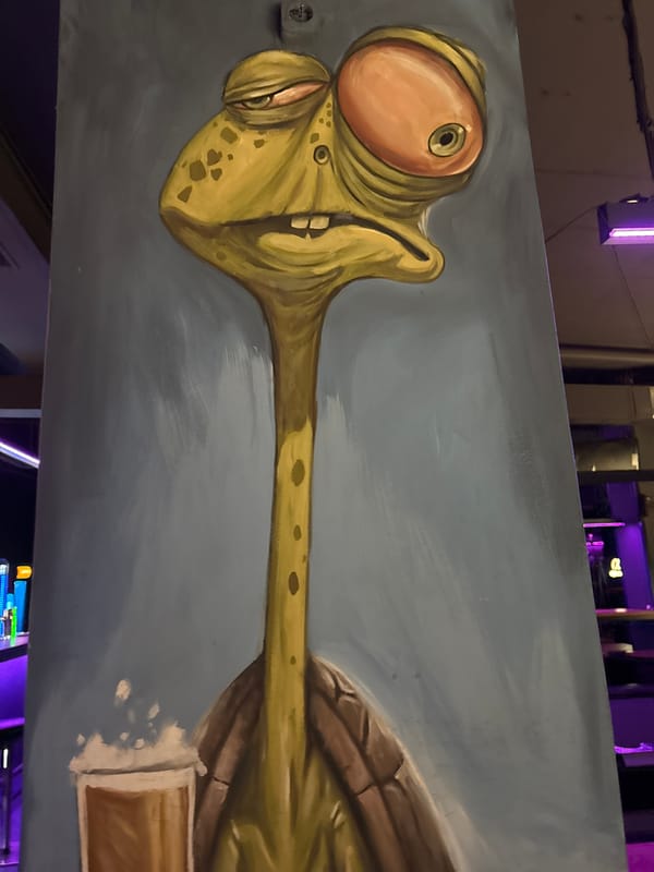 Evening leisure activities documented in Sofia: turtle artwork, pool game