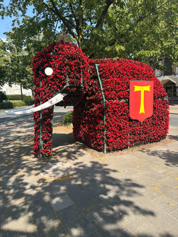 Street art, architecture, and a floral elephant in one morning
