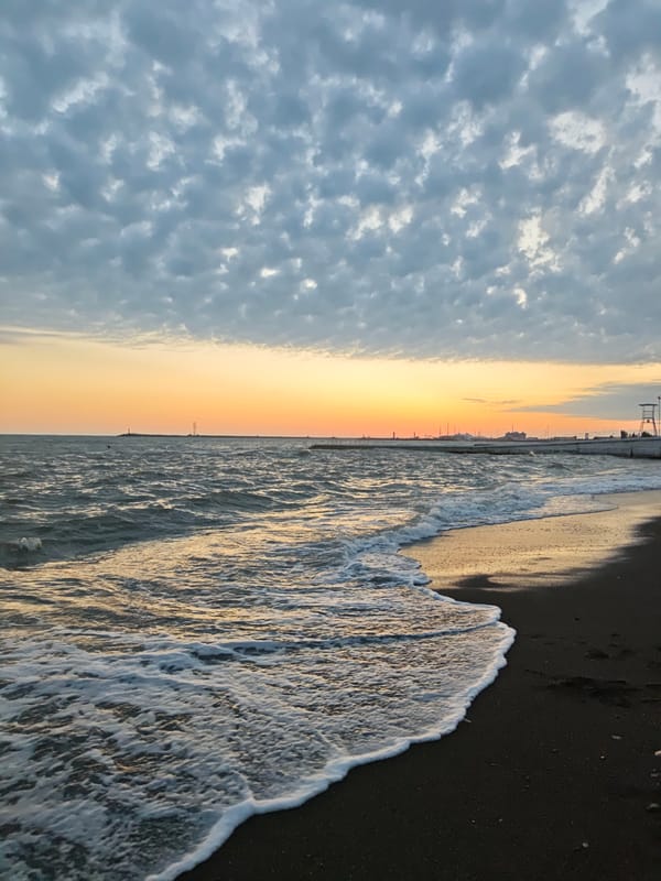 Woman in pink explores Sochi beaches and parks during sunset
