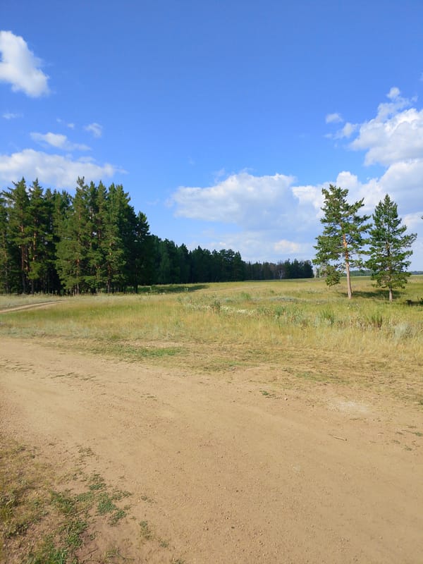 Dirt road through Kazakhstan grassland on a clear summer day
