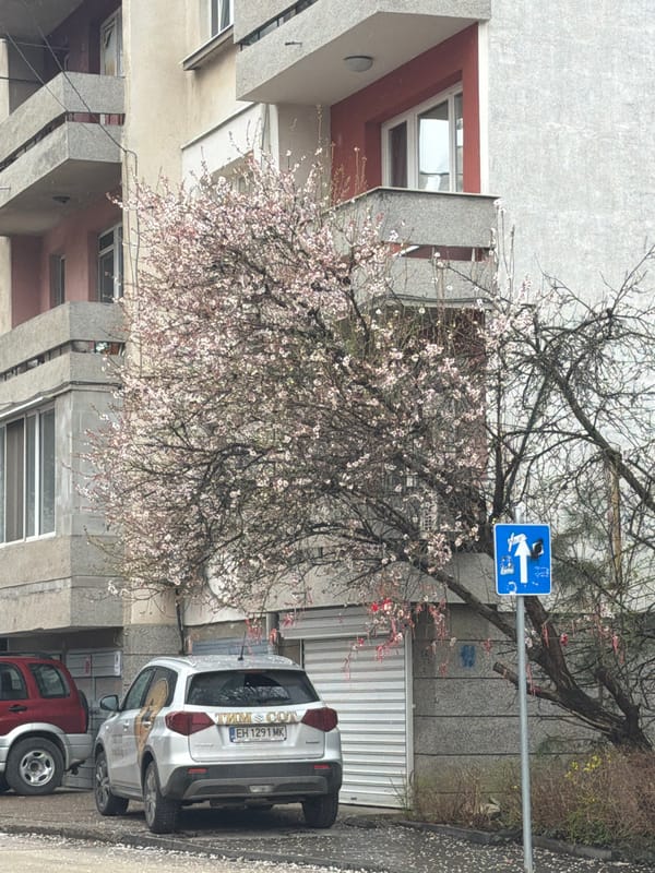 Spring morning urban scenes documented in Pleven, Bulgaria