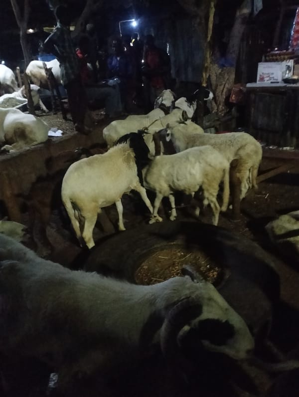 Livestock market activity observed with sheep and goats