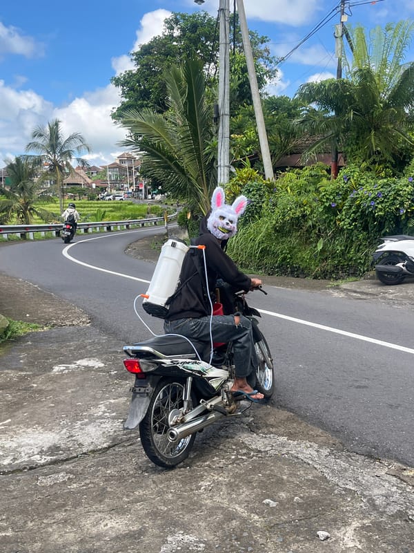 Morning scenes captured in Penebel: rice terraces, masked motorcyclist