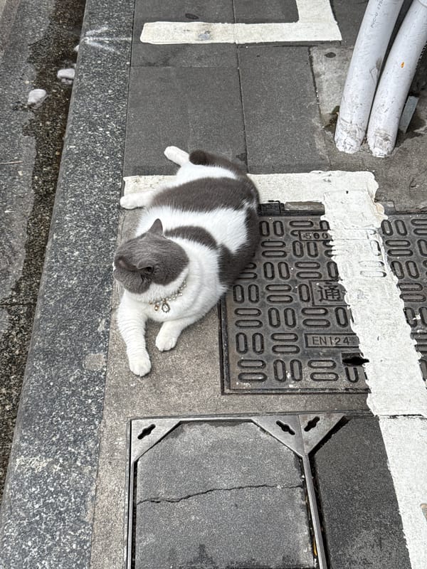Morning street scenes captured in Guangzhou's Liwan District