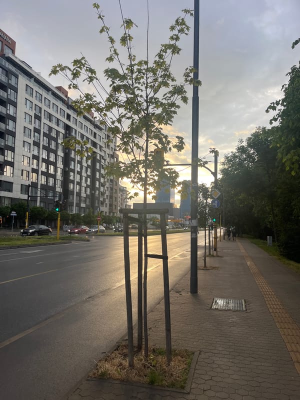 Urban street scene captured during warm evening light