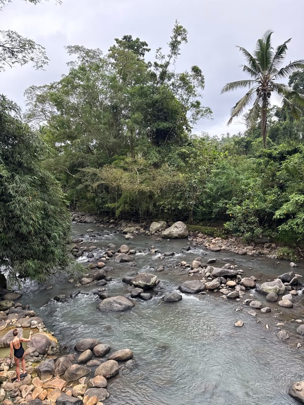 Rocky river flowing through dense vegetation documented by witness