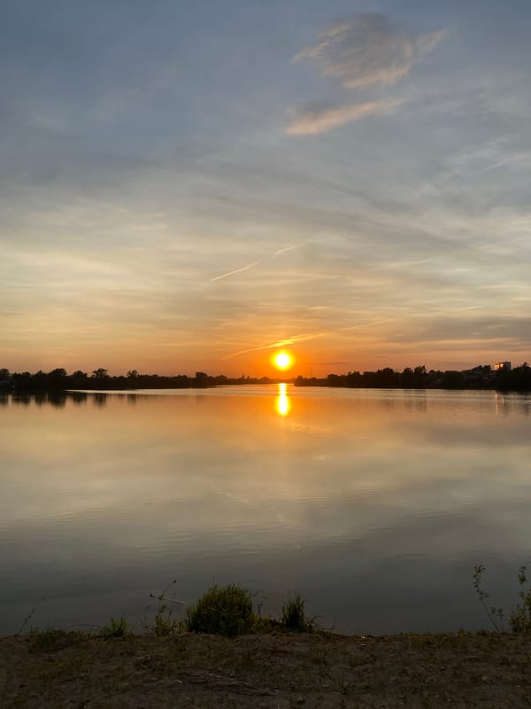 Sunset wine gathering observed in Aramil, Russia