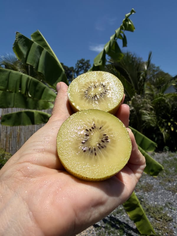 Golden kiwis, air fryer snacks, and a straw hat in Ko Samui