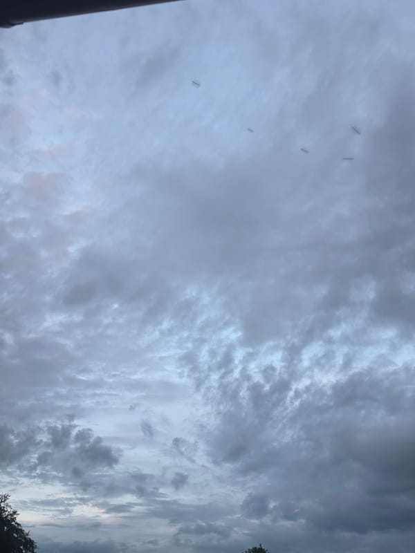 Personal moments documented in Bremerhaven during overcast evening