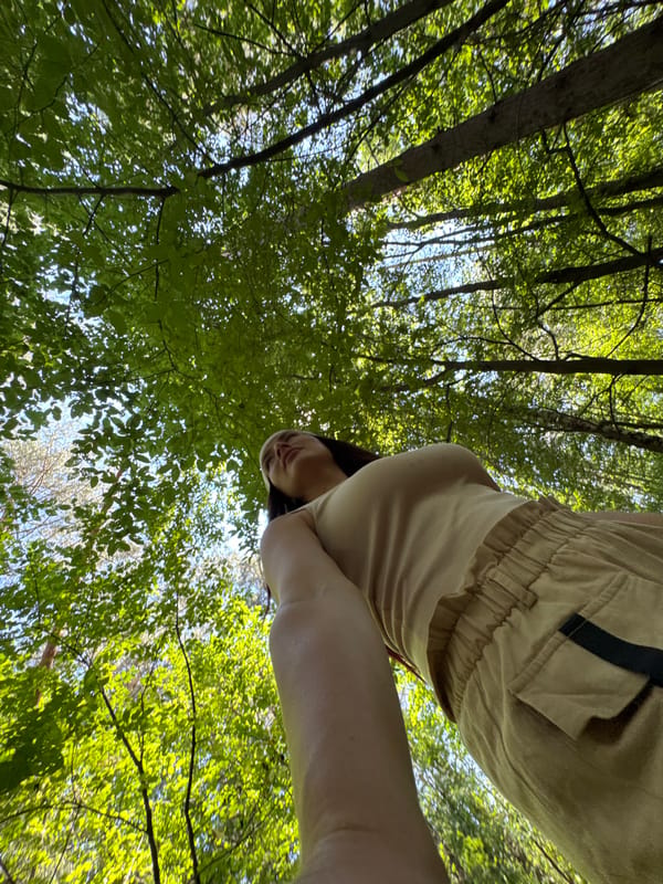 Morning in the woods: acrobatics, rope work, and forest hangouts