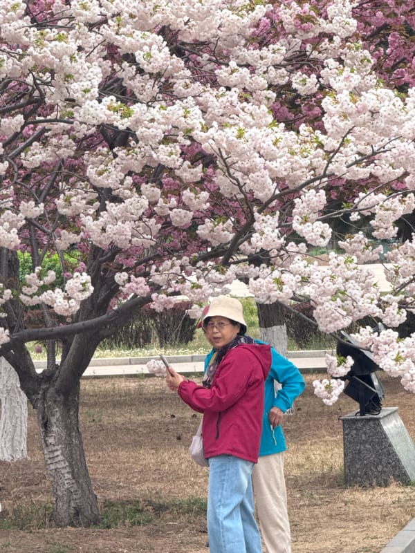 Daily life moments captured across two Chinese communities
