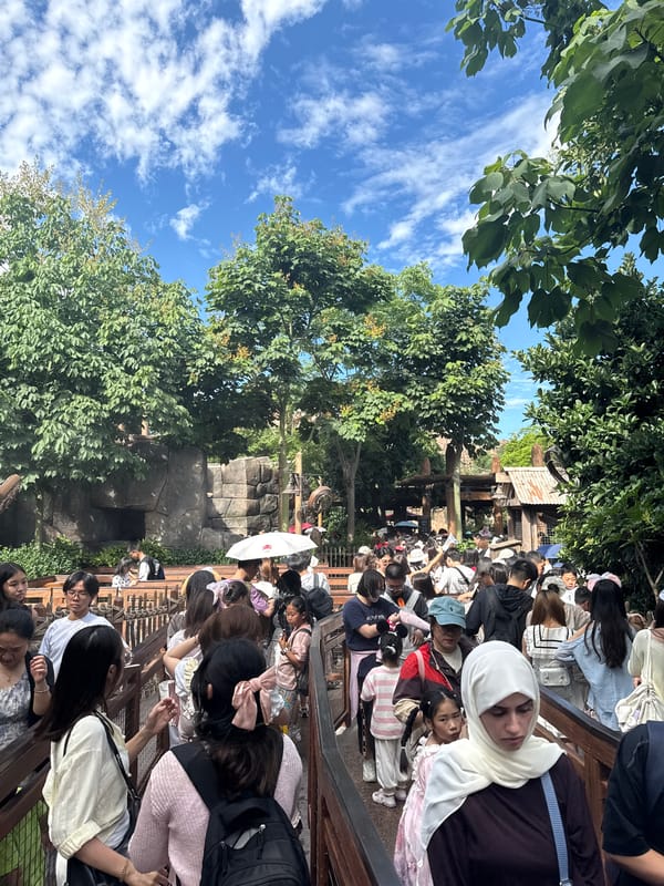 Morning crowds queue at themed attraction in Pudong