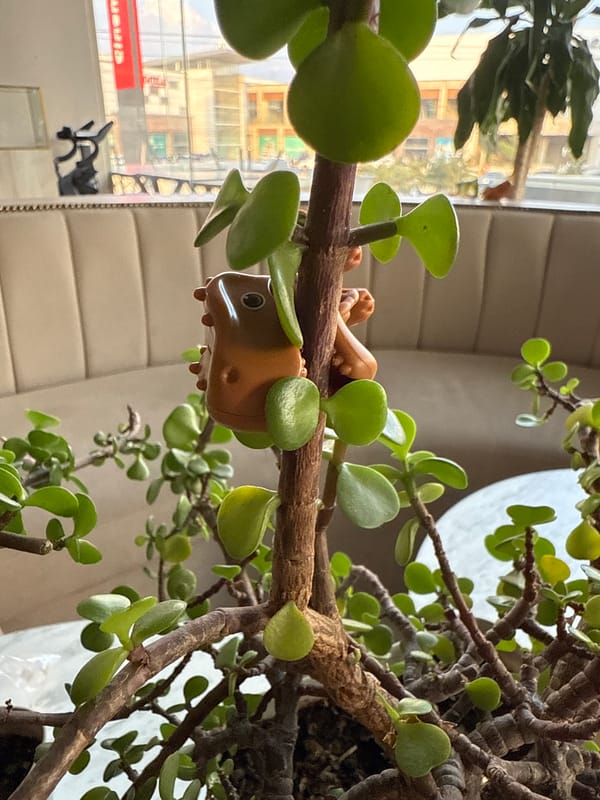 Toy figurines spotted on jade plant in Puebla