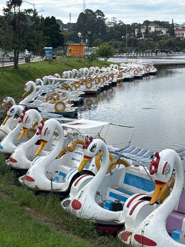 Everyday Da Lat: lake, streets, and murals on a wet morning
