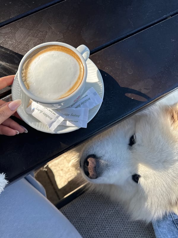 Morning coffee and beach moments documented in Montenegro