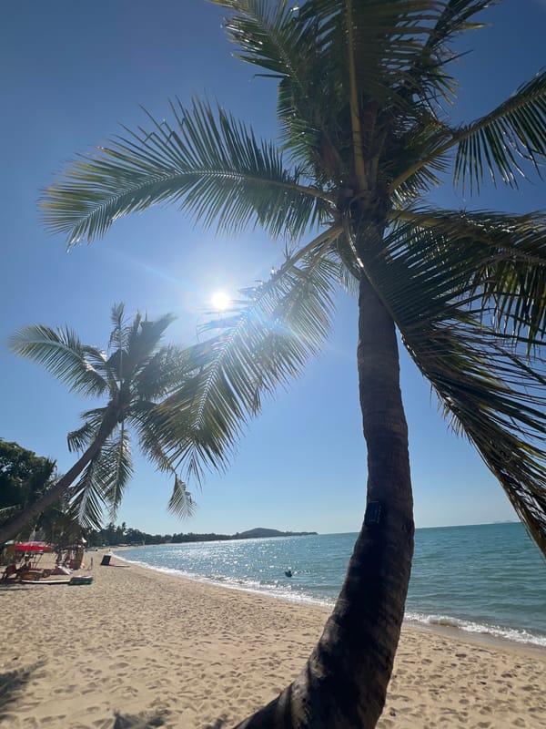 Ko Samui beach morning: jet skis, palm trees, and shoreside activity