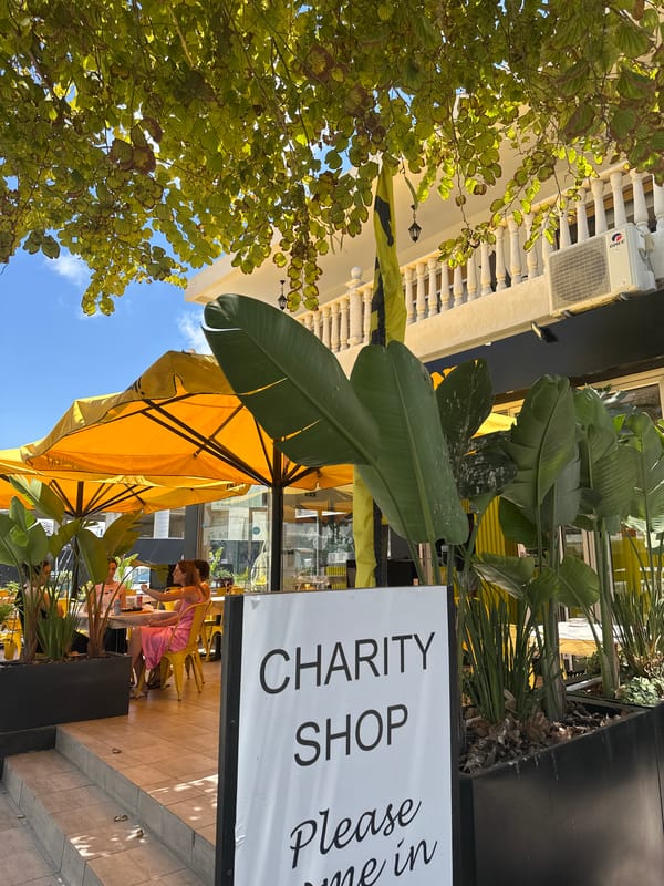 Morning around Paphos — streets, fruit trees, and a shopping mall