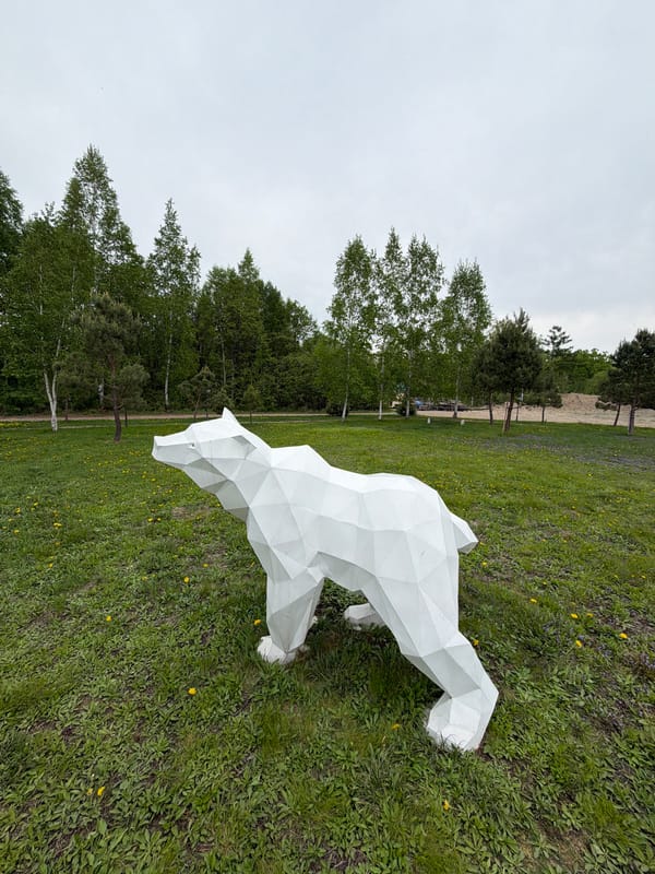 Late night community activities captured in Birobidzhan park