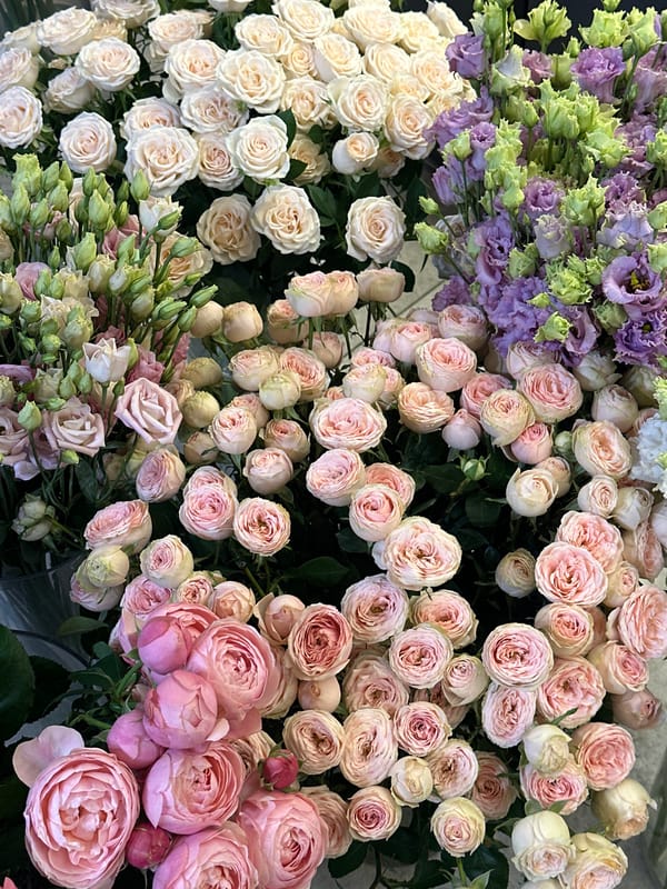Flower shop displays documented in Chișinău, Moldova