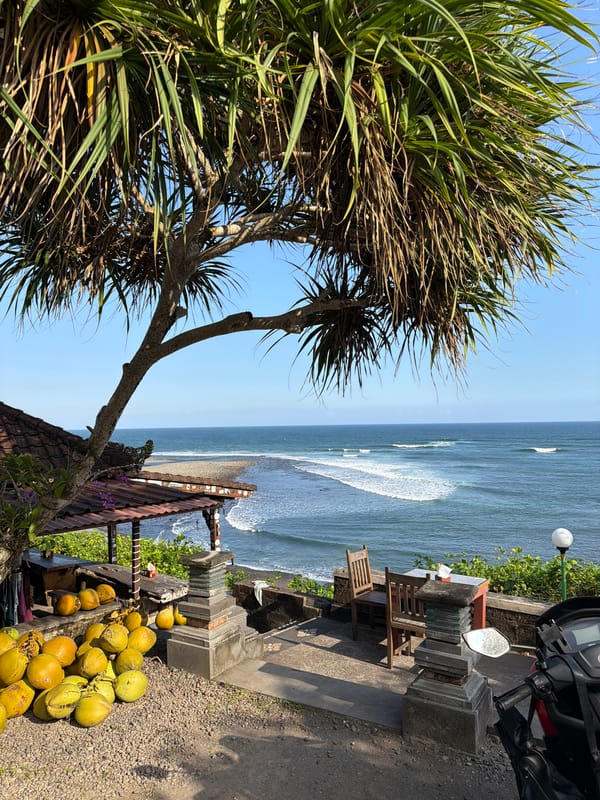 Coastal stop in Selemadeg Barat, coconuts and ocean views