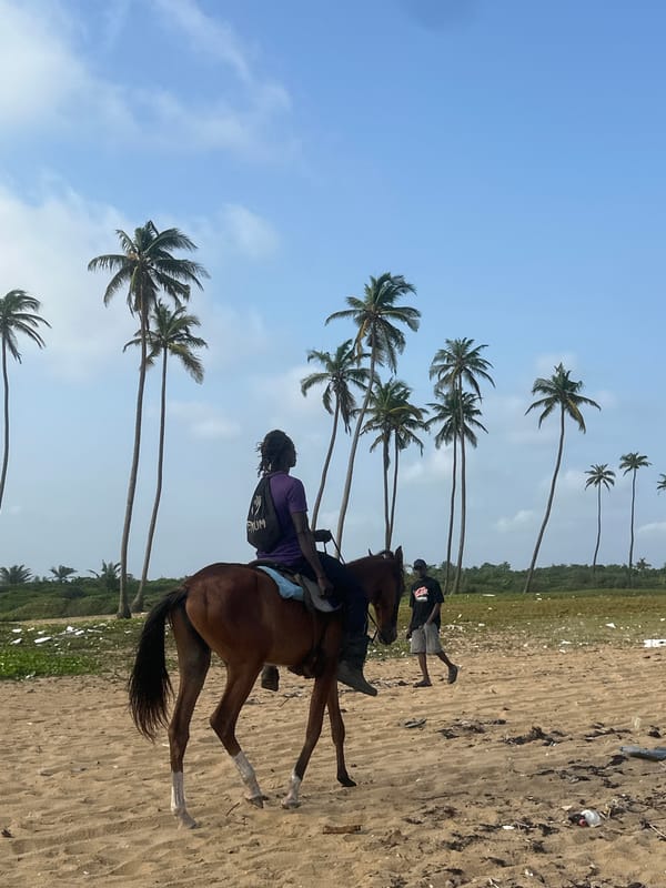 Horseback riding on a palm-lined beach in Badagry