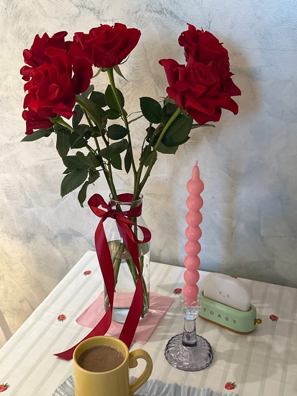 Morning domestic moments and coastal views in Montenegro