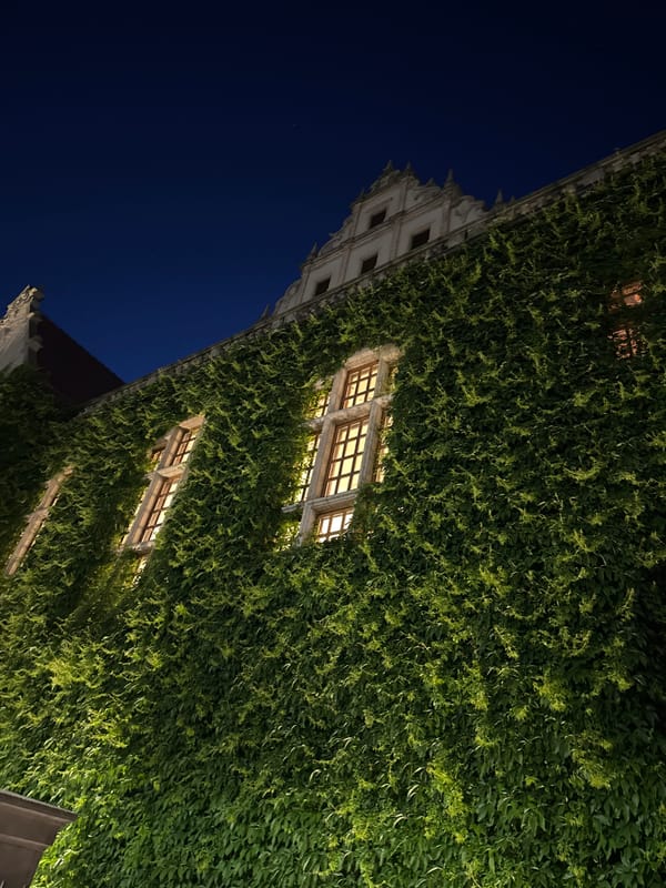 Nighttime documentation of illuminated historic buildings across Poznan