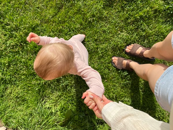 Sunny backyard afternoon with a baby exploring outdoors in Chaikovsky