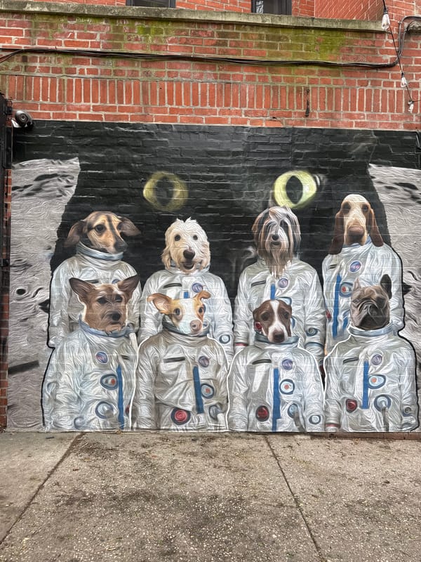 NYC street scenes: astronaut dog mural, multilingual grocery store