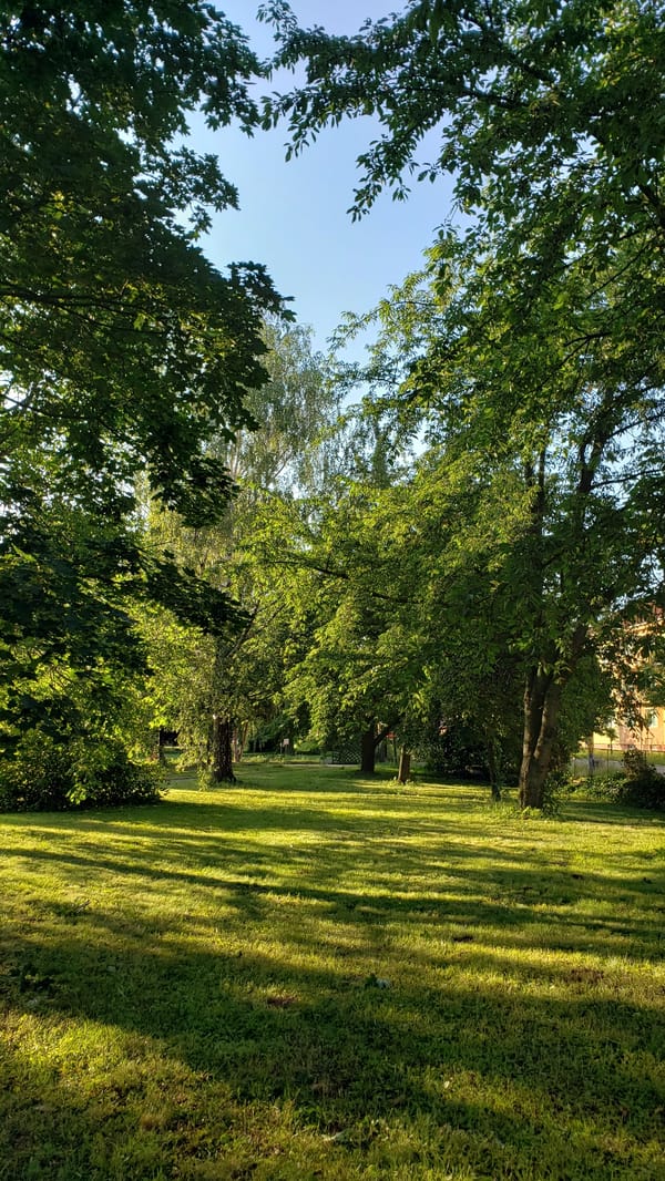 Afternoon in a Prešov park, from trees to the Torysa bridge