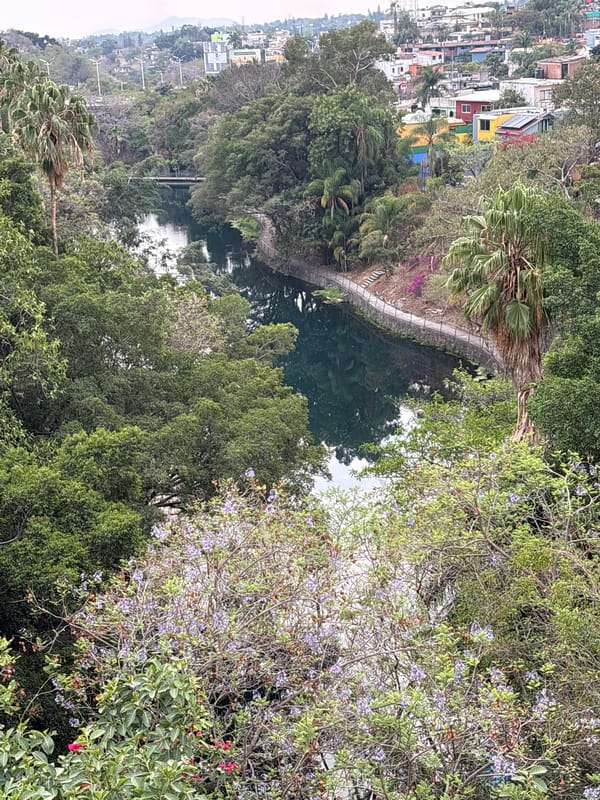 Evening documentation captures Cuernavaca cityscape, plants, and indoor moments