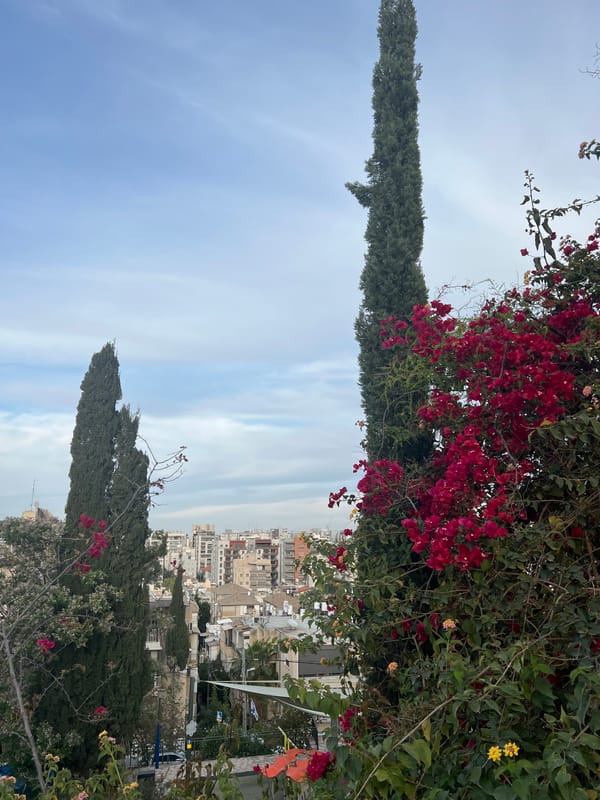 Elevated cityscape view captured in Ramat Gan under cloudy skies