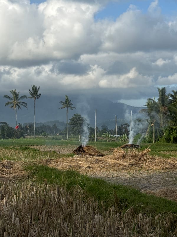 Post-harvest straw burning in Bebandem's rice fields
