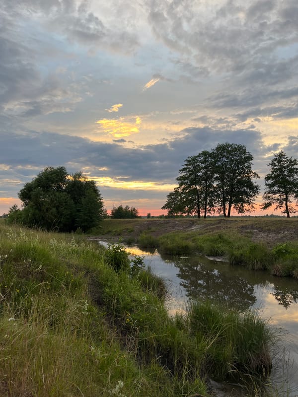 Fishing at dusk beside open fields in Trylistsi, Ukraine