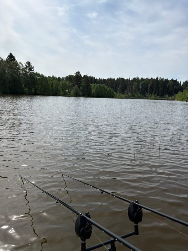 Dawn fishing session documented at Prikamskii lake, Russia