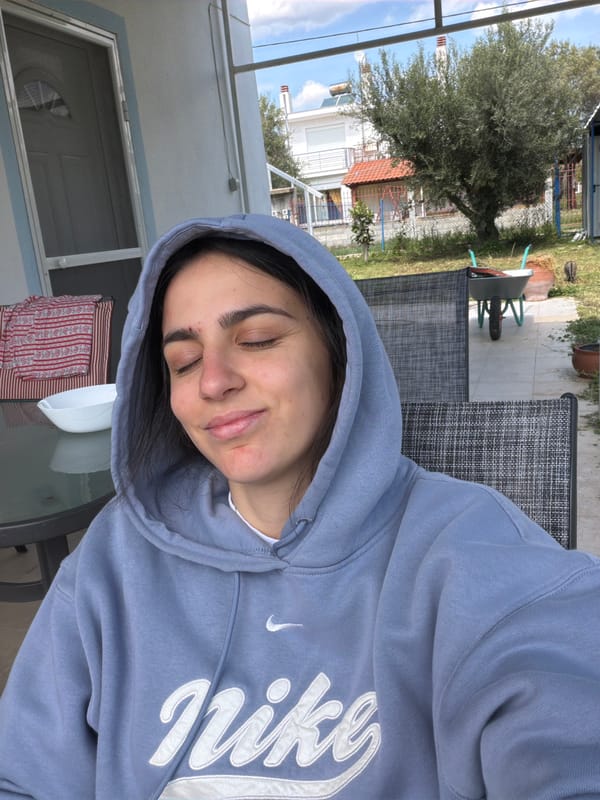 Orange cats spotted around Greek coastal town morning hours