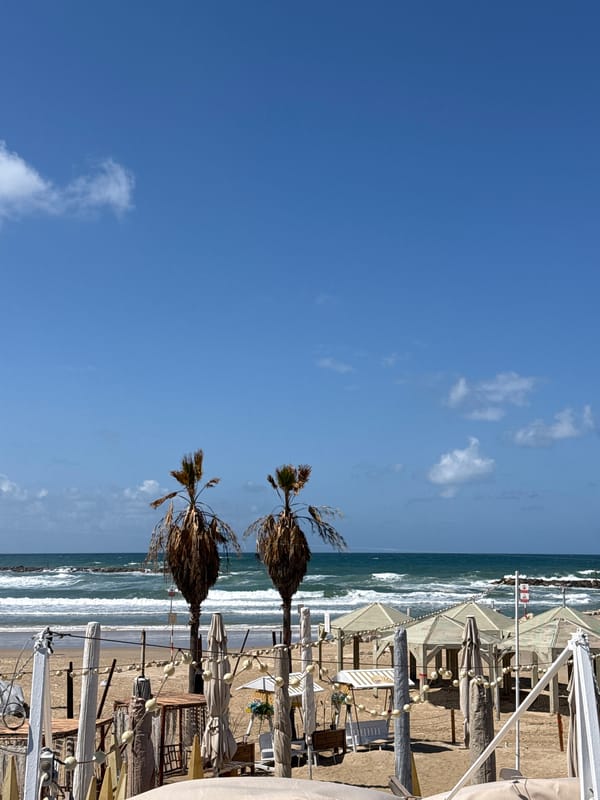 Morning beach activity documented along Tel Aviv Mediterranean coast
