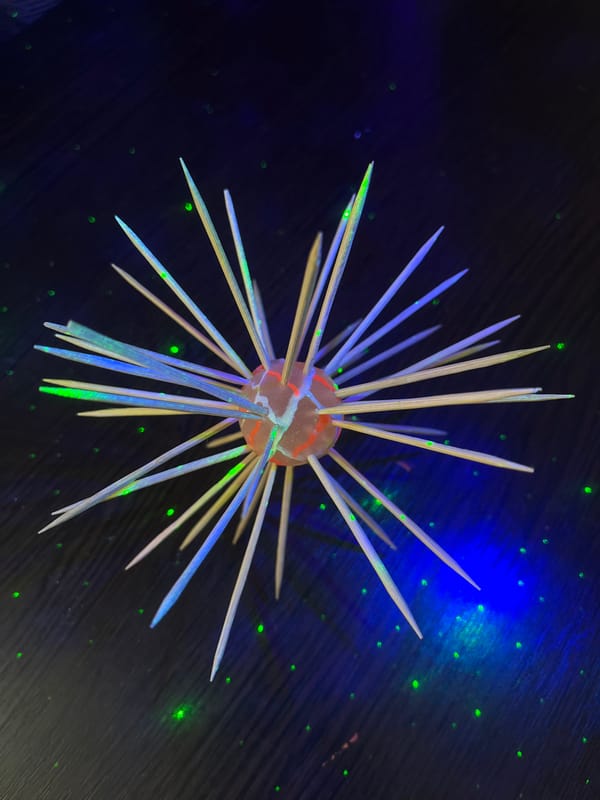 Homemade coronavirus model with toothpick spikes displayed in Krasnodar