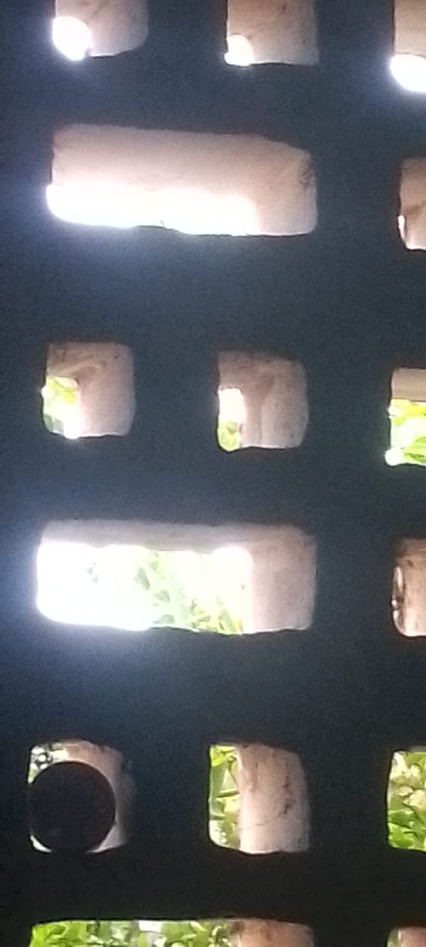 Domestic life moments captured in Juan Griego, Venezuela