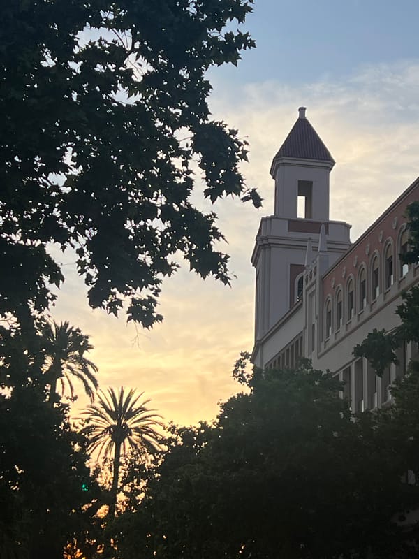 Tower building observed at sunset in central València