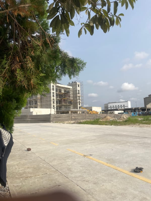 Construction activity observed through urban trees, April 2026