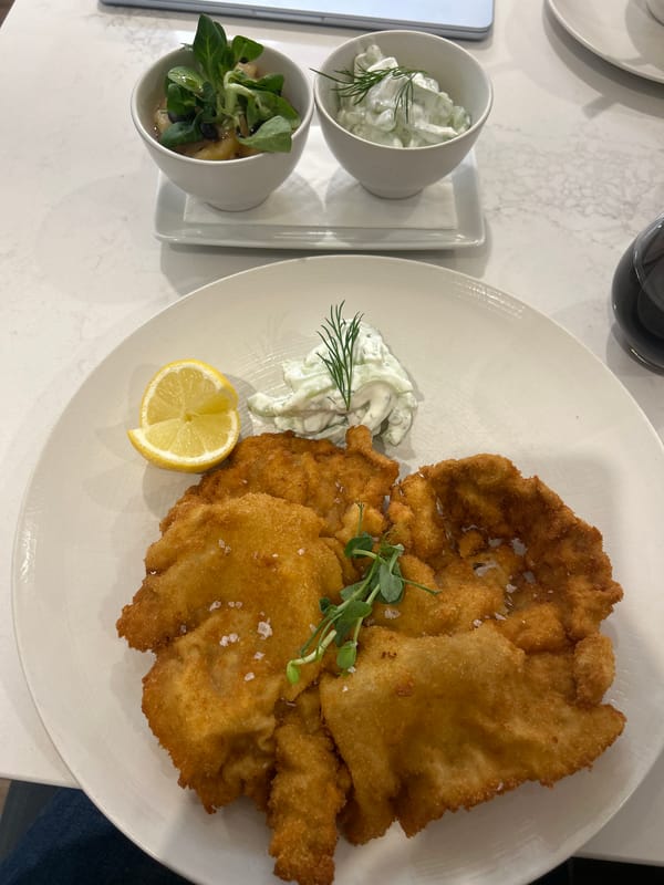Restaurant meal documentation in Schwechat, Austria