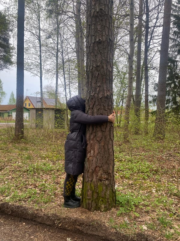 Person documents hour-long nature walk with cats in Swedish lakeside town