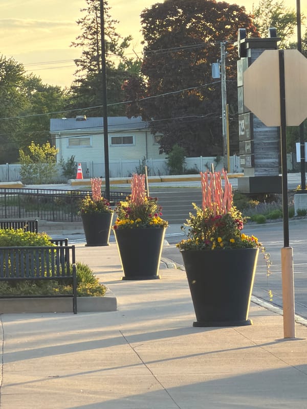 Late-night documentation of Morton Grove street decorations and pavement