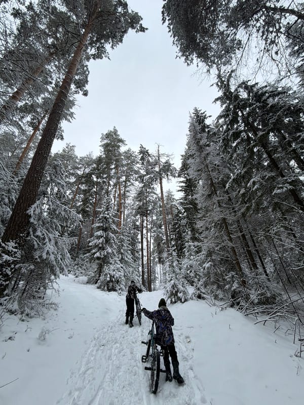 Woman, child encounter distress in snowy Russian forest