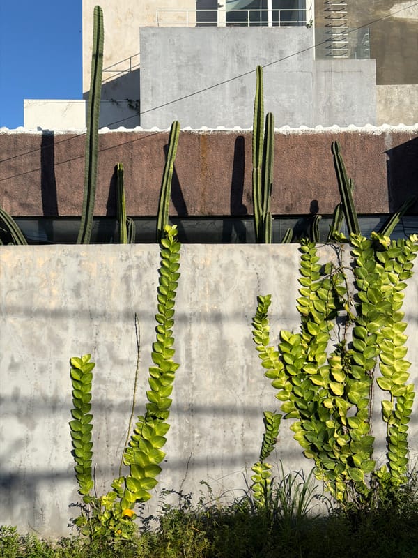 Daily life moments captured across North Kuta neighborhoods