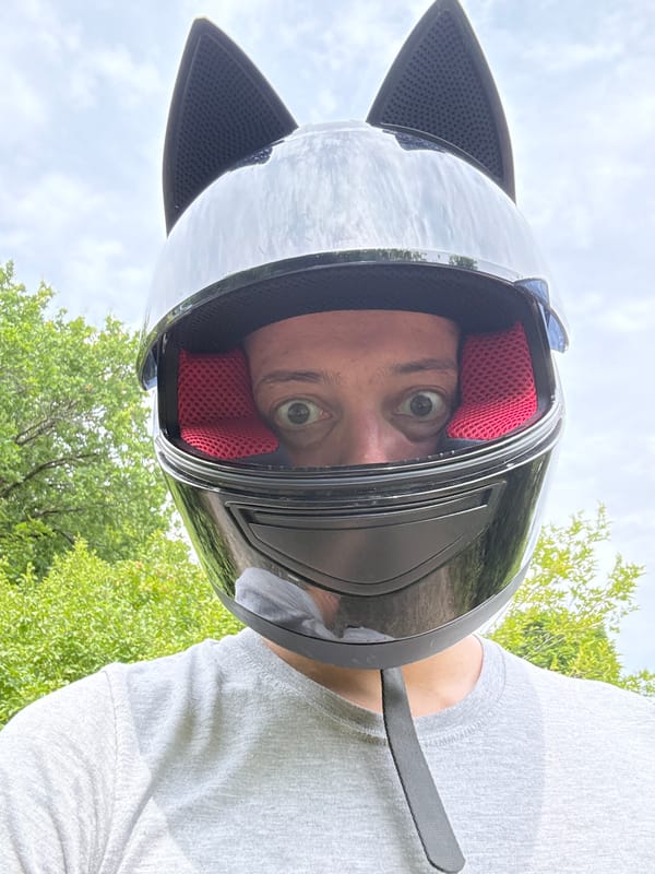 Cat-ear helmet selfie and rowan berries in Saratov