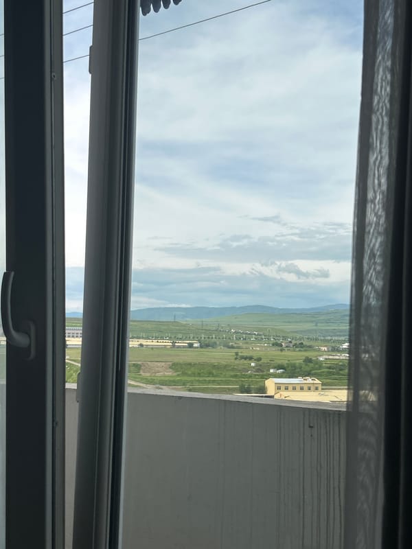 Tbilisi resident documents afternoon domestic moments, artwork, city views